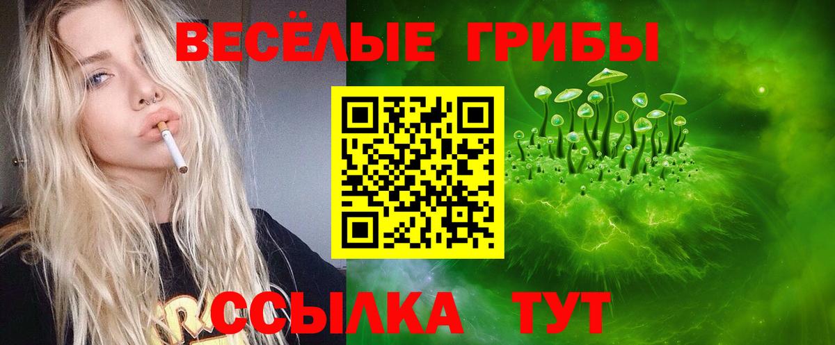Псилоцибиновые грибы мицелий Гай